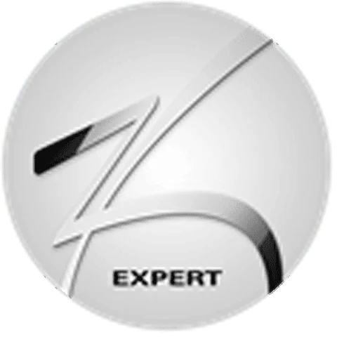 expert logo img 2